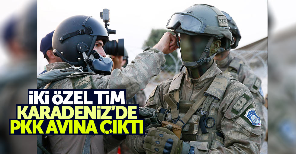 2 özel tim Karadeniz'de PKK avına çıktı