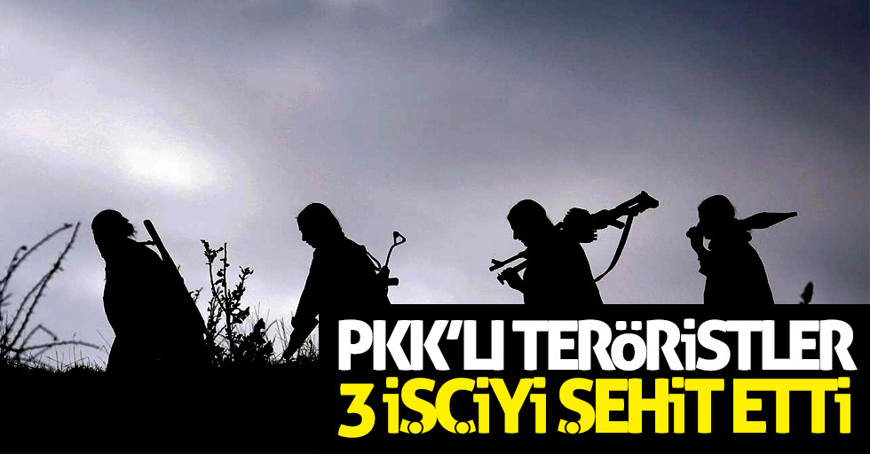 PKK'lı teröristler 3 işçiyi şehit etti