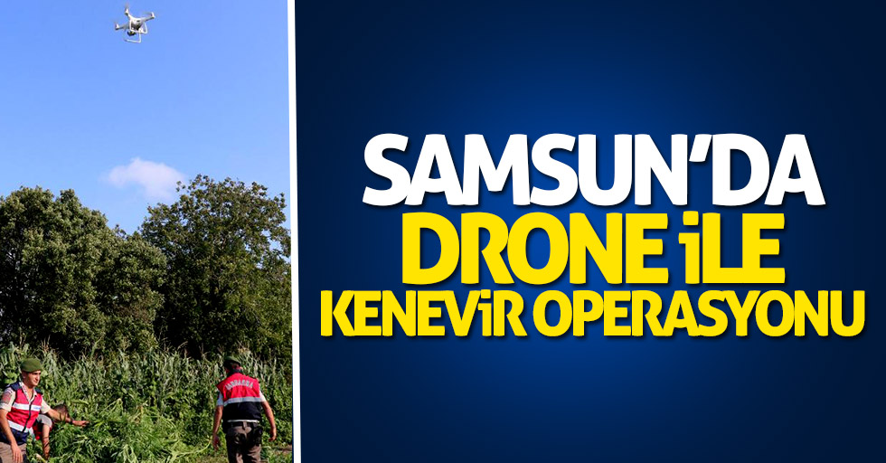 Samsun'da drone ile kenevir operasyonu