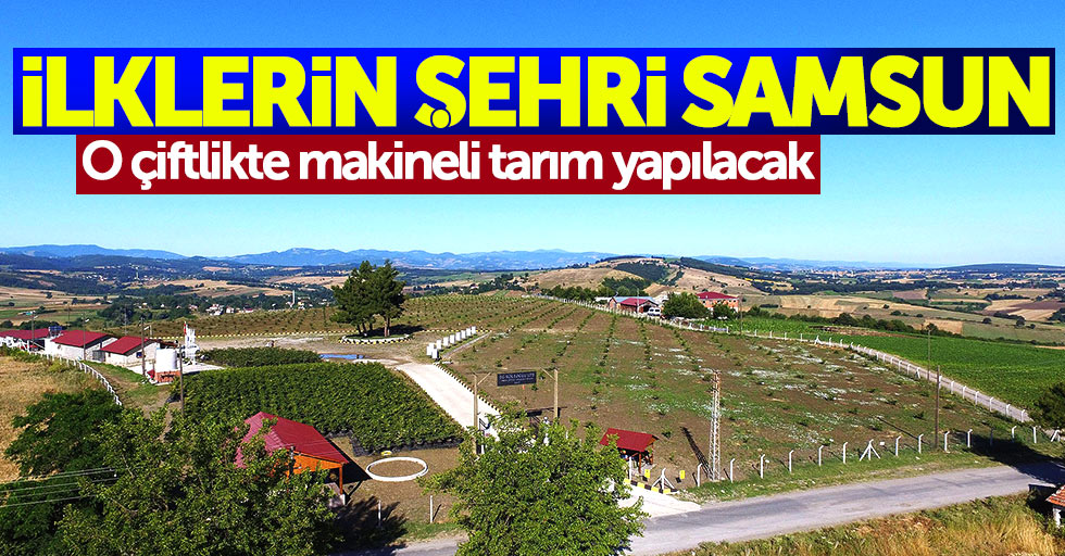 Samsun'da Fındık çiftliği kurulacak