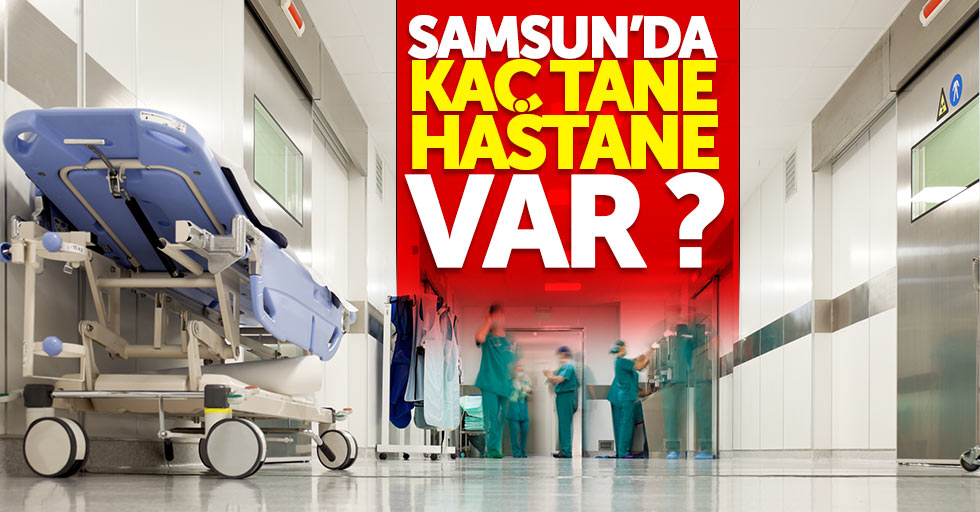 Samsun'da kaç tane hastane var?