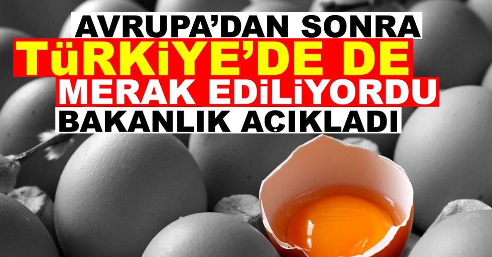 Yumurta da Avrupa’dan sonra Türkiye’de de merak ediliyordu bakanlık açıkladı