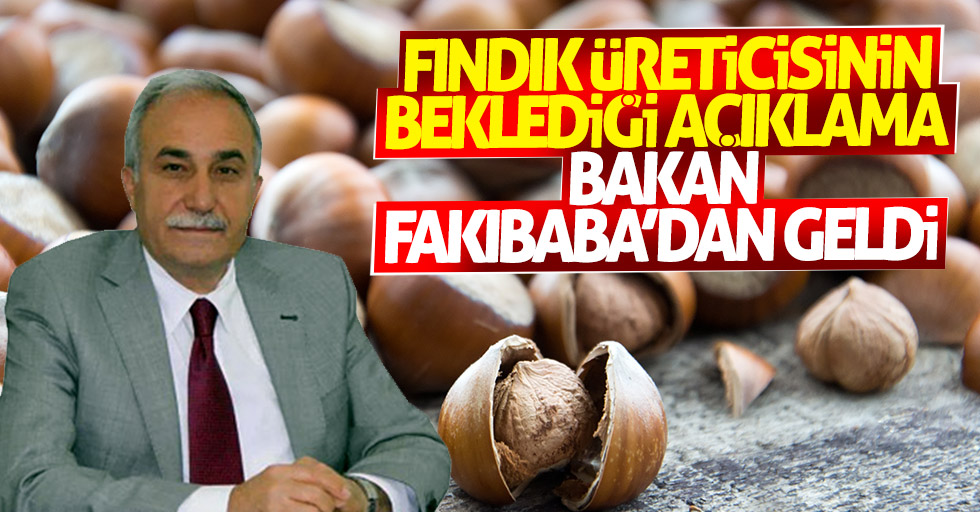 Bakan Fakıbaba'dan fındık üreticilerini sevindirecek haber