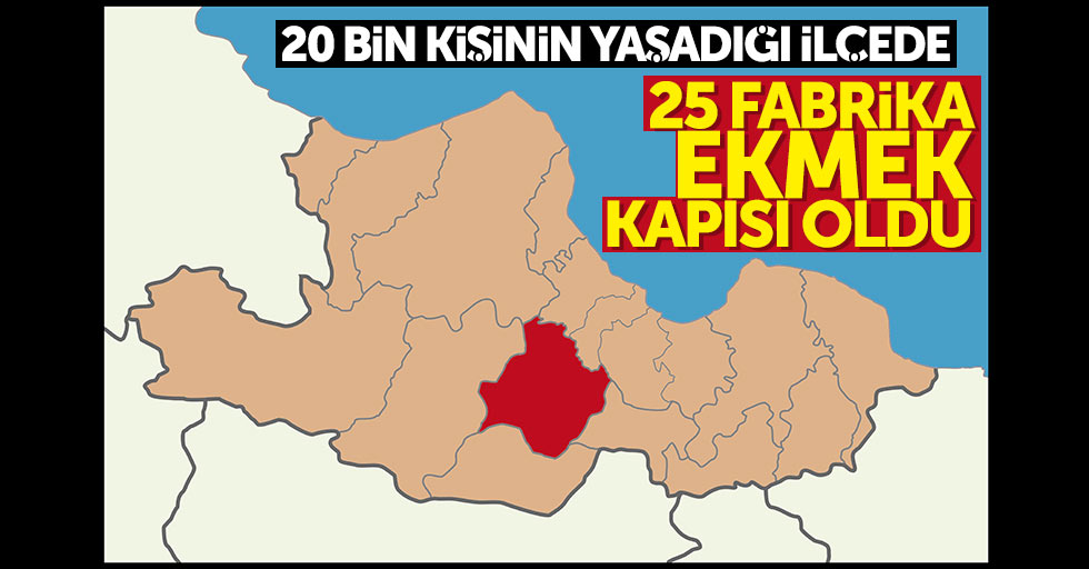 Samsun'da 20 bin nüfuslu ilçede 25 fabrika var