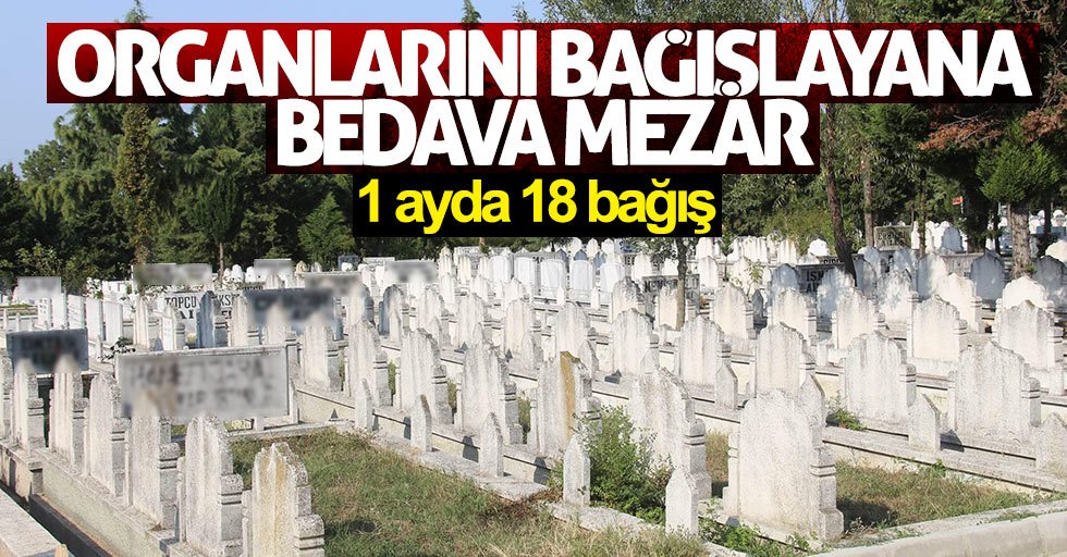 Samsun'da organ bağışlayana mezar bedava