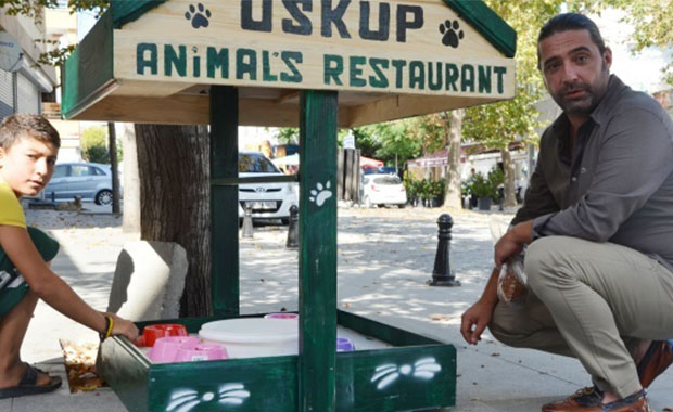 Sokak hayvanları için restoran yaptı
