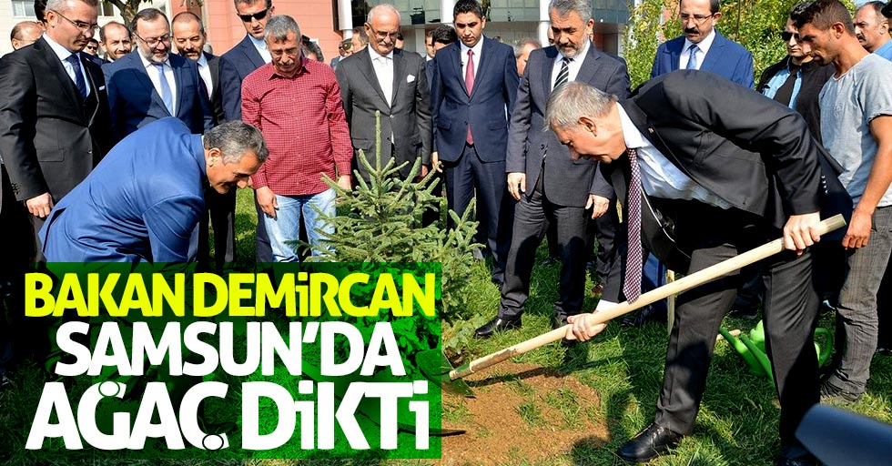 Bakan Demircan Samsun'da ağaç dikti