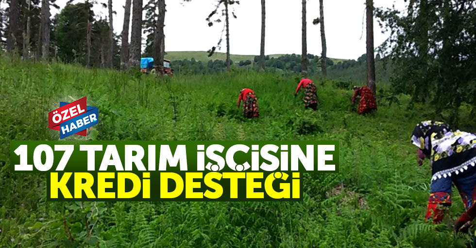 Samsun'da 107 tarım işçisine kredi desteği