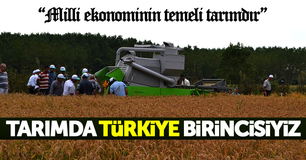 Samsun tarımda Türkiye birincisi