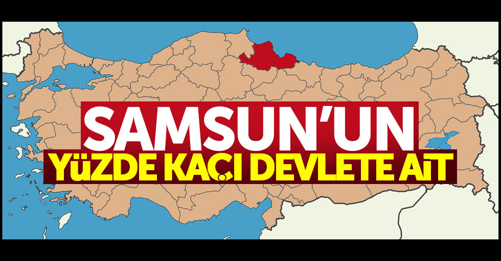 Samsun'un yüzde kaçı devlete ait