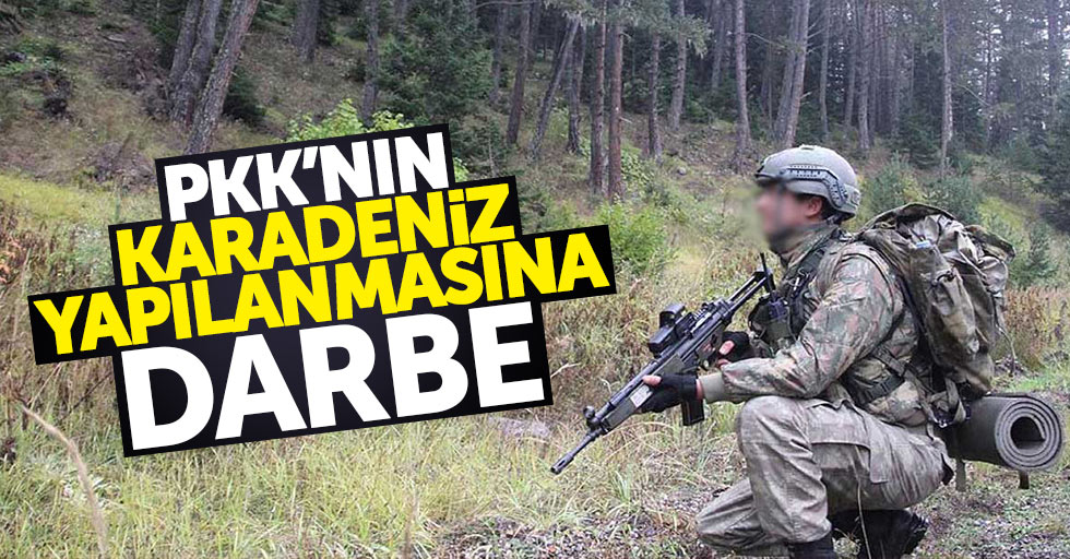PKK'nın Karadeniz yapılanmasına darbe üstüne darbe