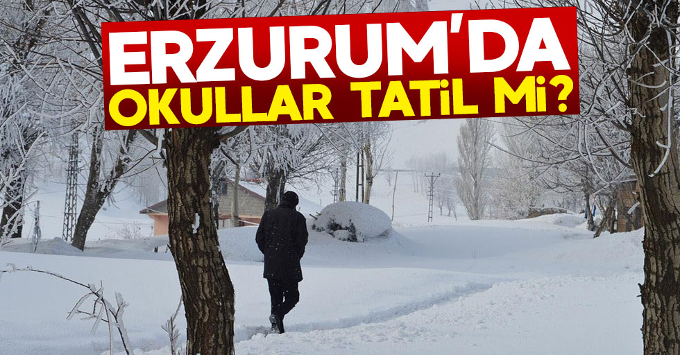 2 Ocak salı Erzurum'da okullar tatil mi?