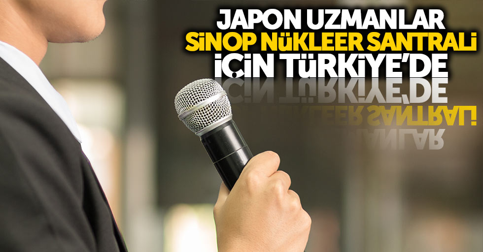 Japonlar Sinop nükleer santrali için Türkiye'de