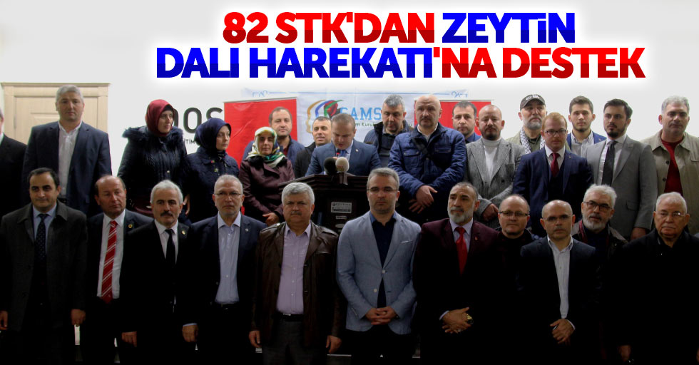 Samsun'da STK'lardan Zeytin Dalı Harekatı'na destek