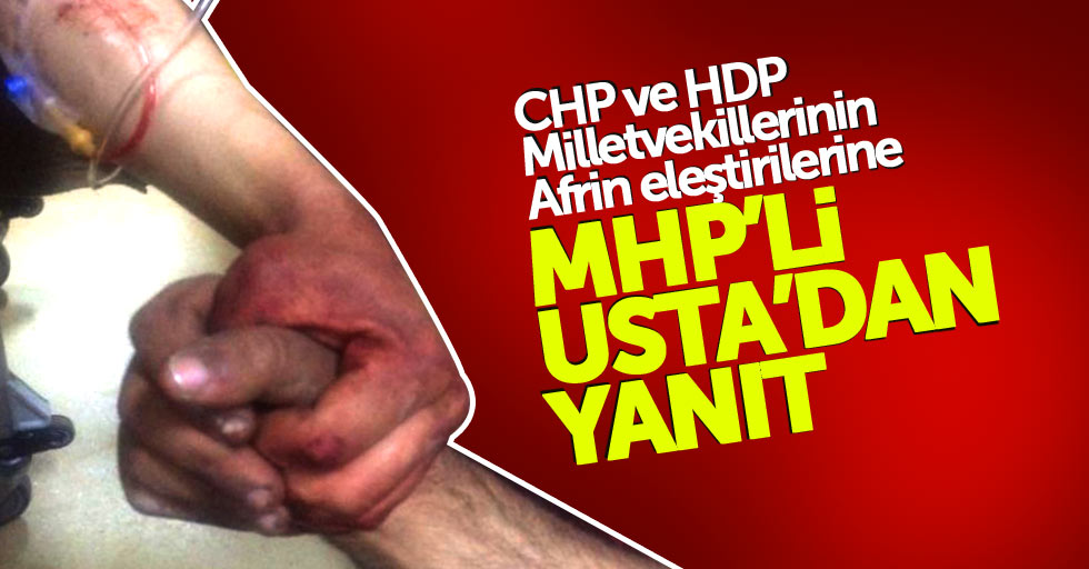 MHP'li Usta'dan Zeytin Dalı mücadelesi