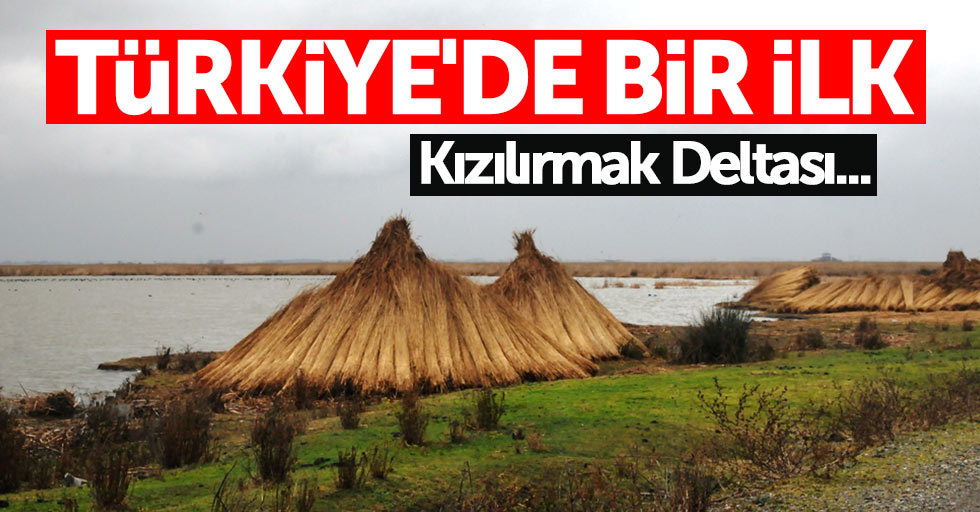 Türkiye'de bir ilk: Kızılırmak Deltası...