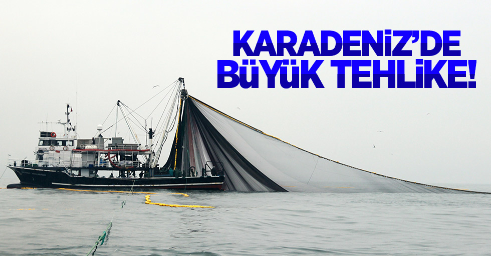 Karadeniz'de balık türleri tehlikede