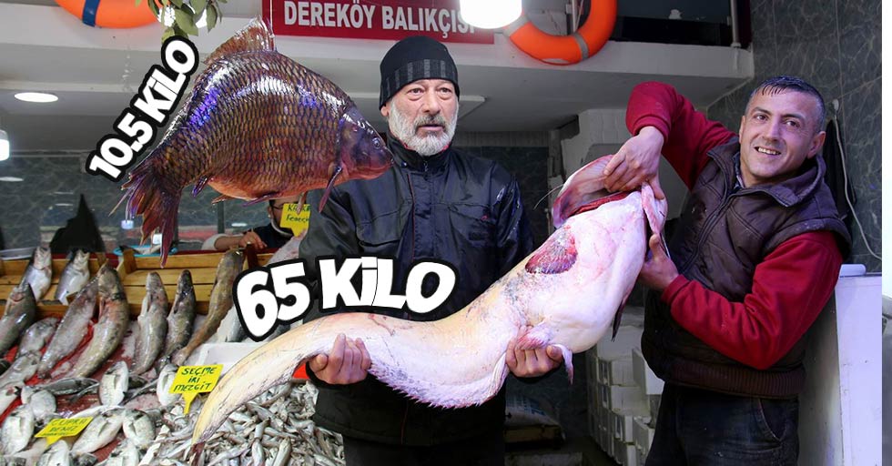 Samsun'da 65 kiloluk yayın balığı avlandı