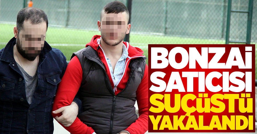 Samsun'da bonzai satıcısı suçüstü yakalandı