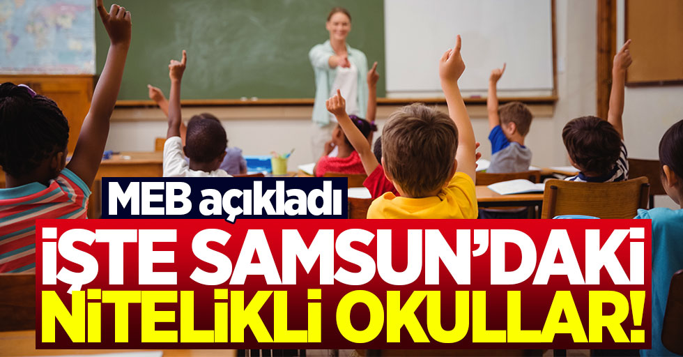 İşte Samsun'daki nitelikli okullar!