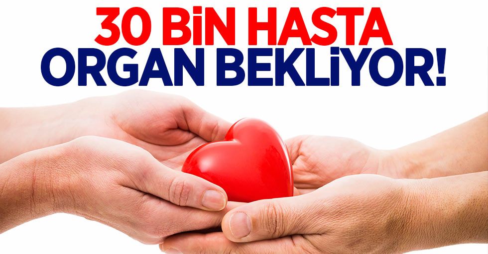 Mehmet Kazak: 30 bin hasta organ bekliyor