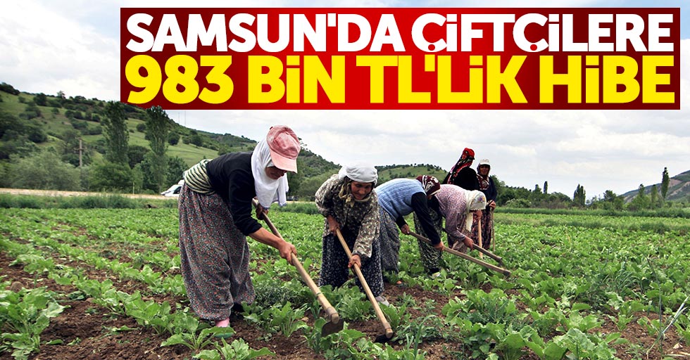 Samsun'da çiftçilere 983 bin TL'lik hibe
