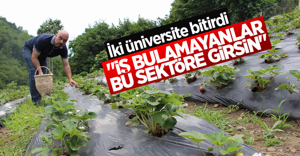 İki üniversite bitirdi organik tarım yapıyor