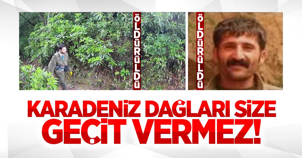 Karadeniz'de öldürülen teröristler fotokapana yakalandı