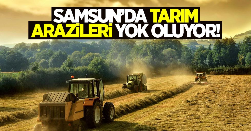 Samsun'da tarım arazileri yüzde 13 oranında yok oldu