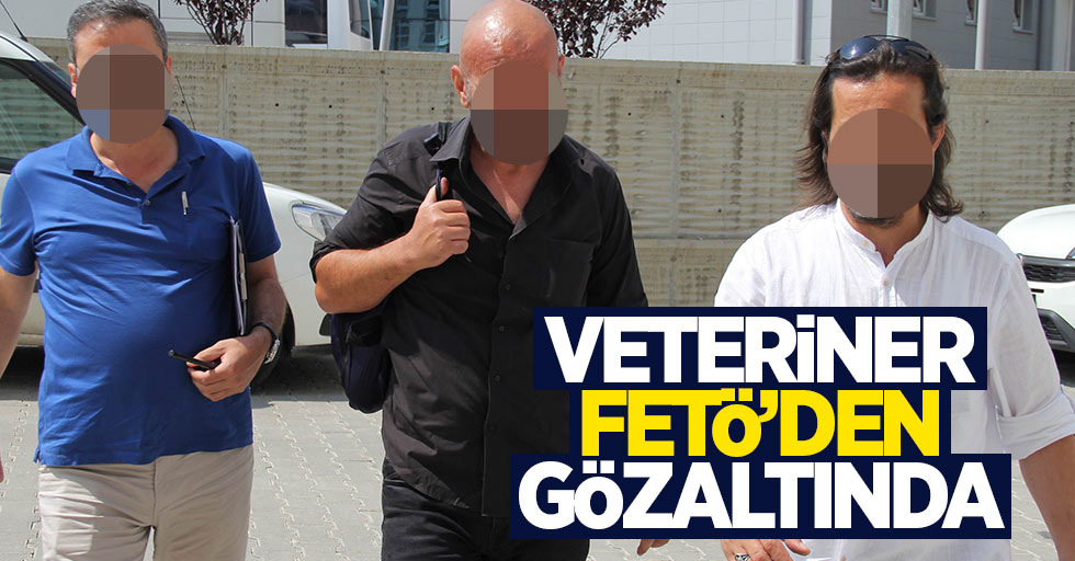 Samsun'da veteriner hekim FETÖ'den gözaltına alındı