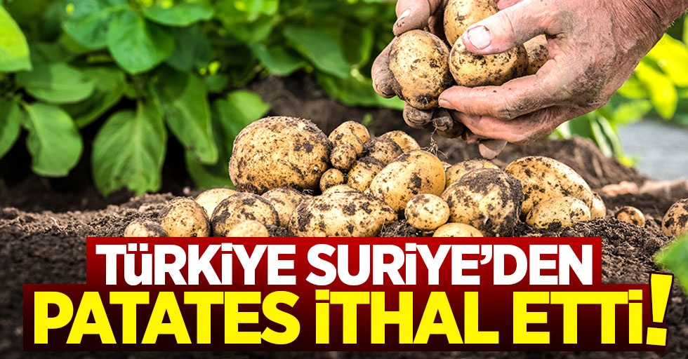 Türkiye Suriye'den patates ithal etti