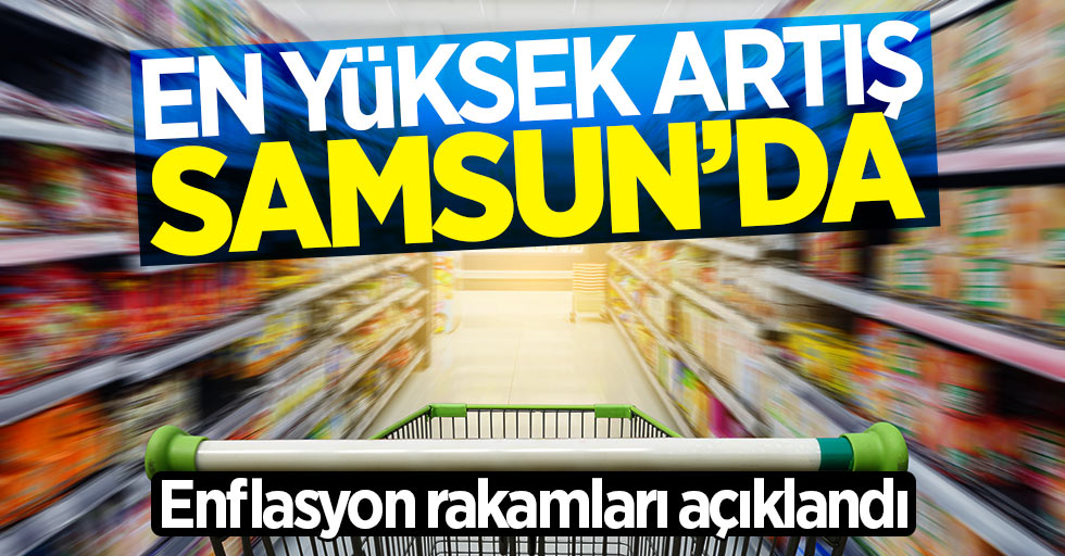 Aylık en yüksek enflasyon artışı Samsun'da oldu