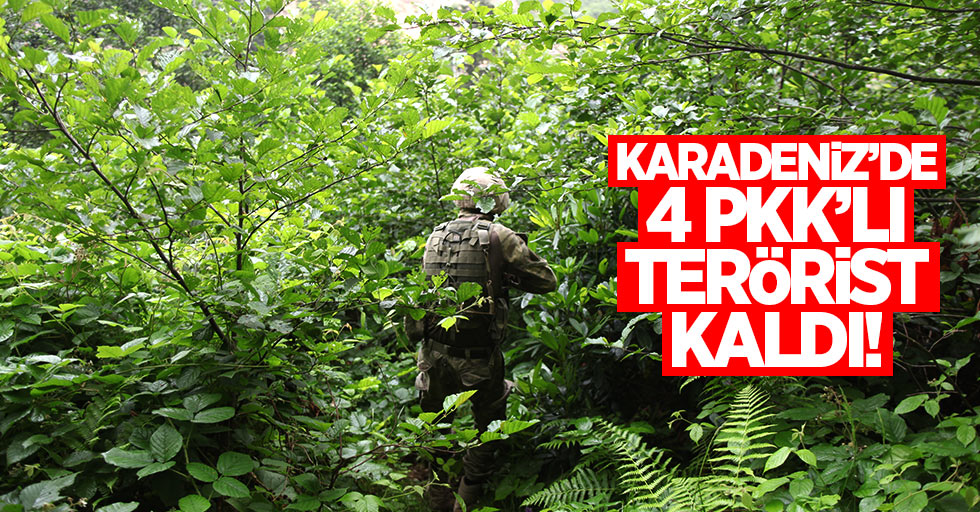 Karadeniz'de 4 PKK'lı terörist kaldı