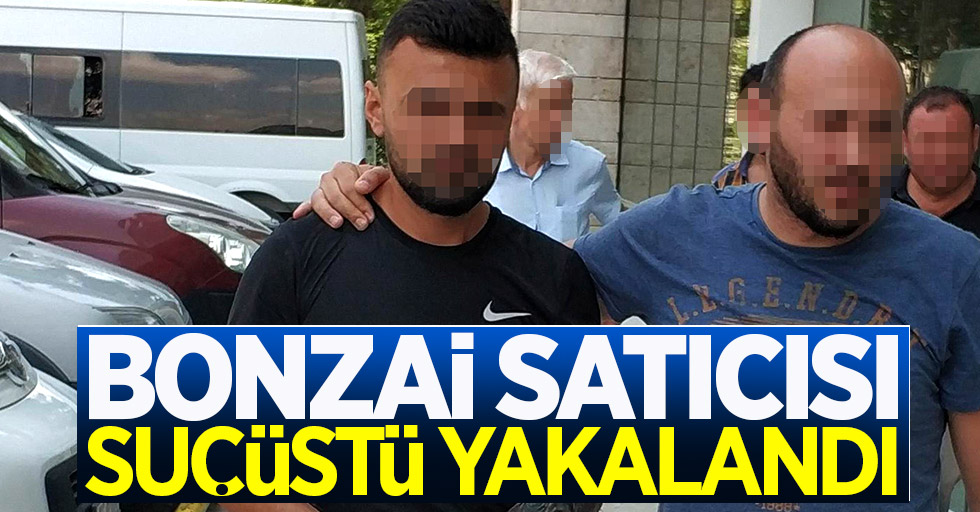 Samsun'da bonzai satan şahıs tutuklandı