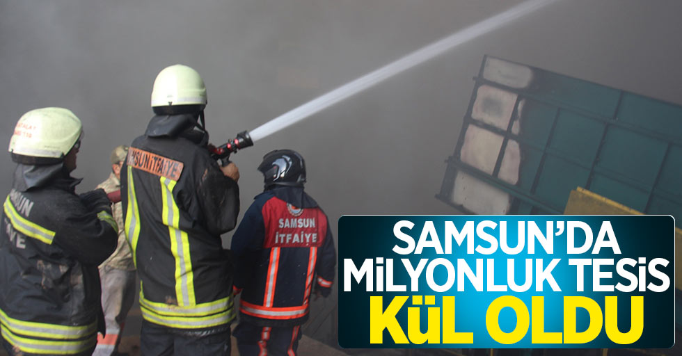 Samsun'da milyonluk tesis kül oldu