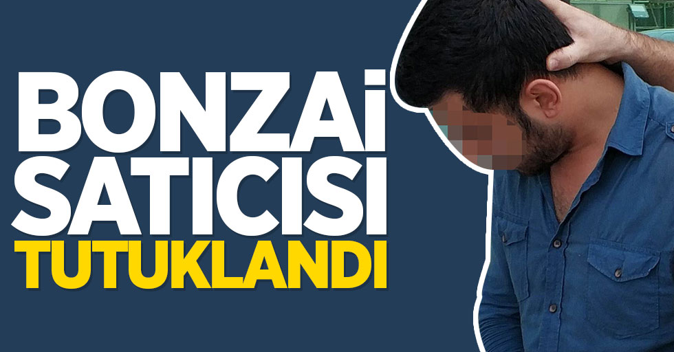 Samsun'da bonzai satıcısı tutuklandı