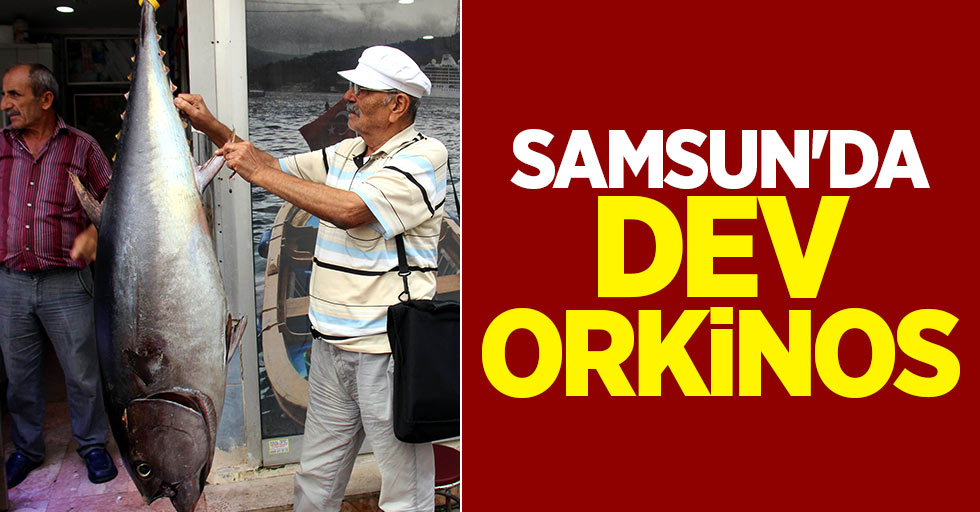 Samsun'da dev orkinos heyecanı