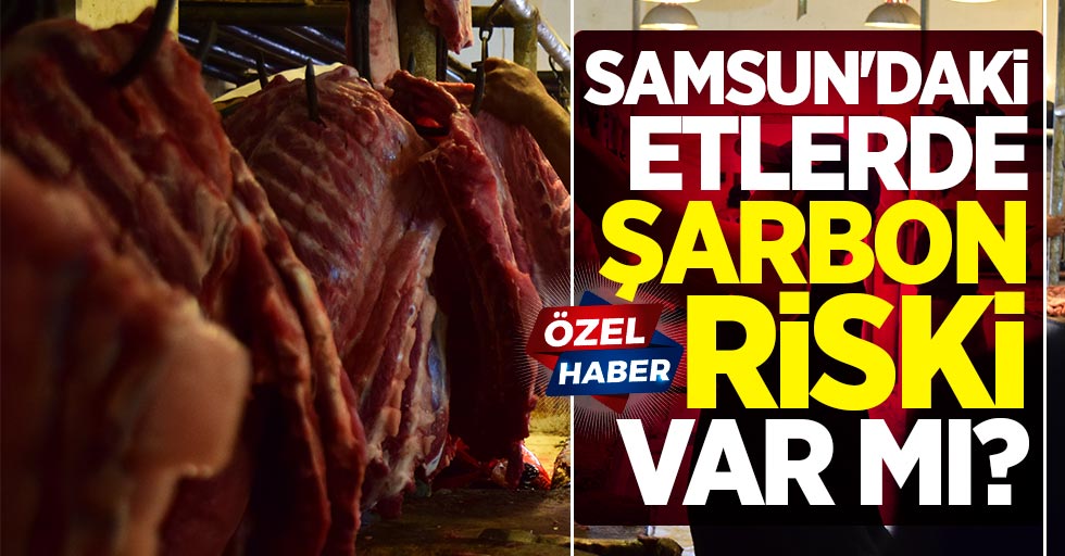 Samsun’daki etlerde şarbon riski var mı?