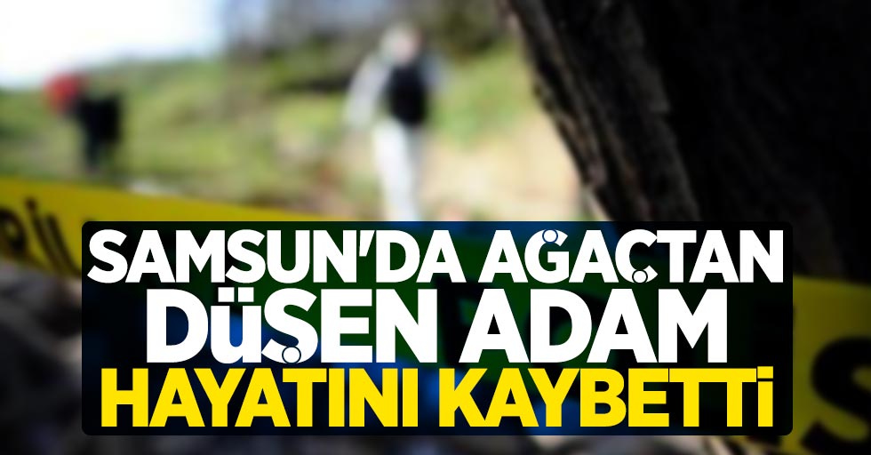Samsun'da ağaçtan düşen adam hayatını kaybetti