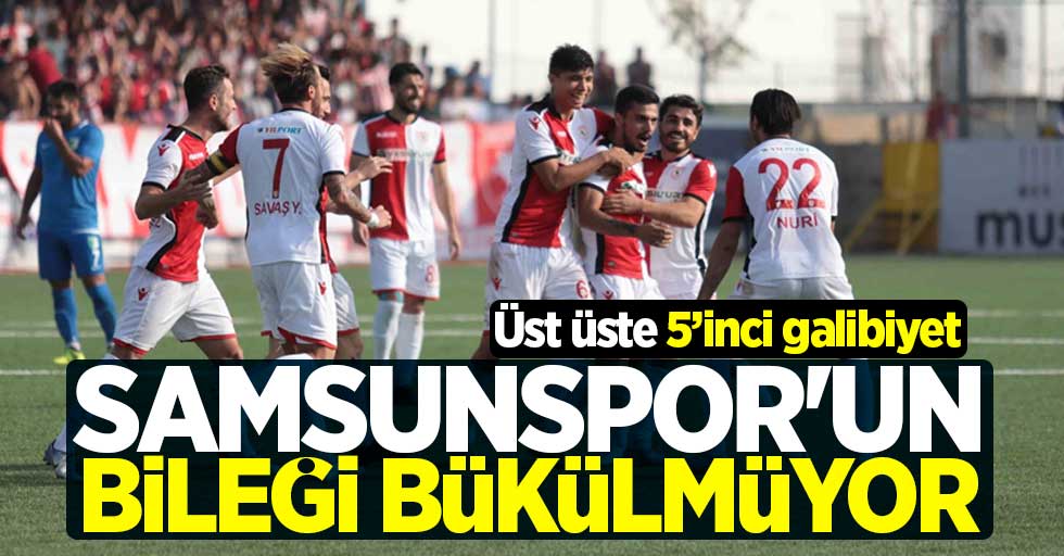 Samsunspor'un  bileği bükülmüyor 2-0