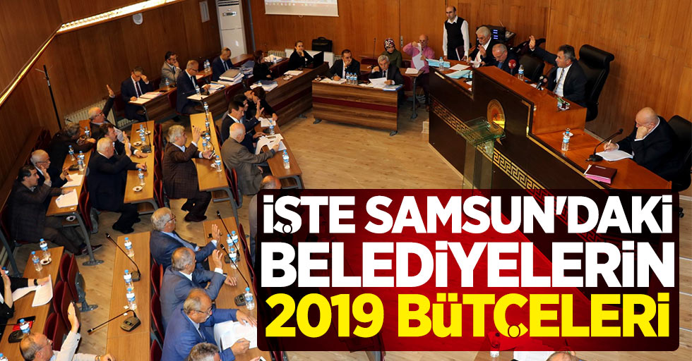 Samsun'daki Belediyelerin 2019 Bütçeleri