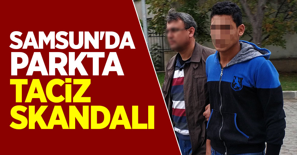Samsun'da parkta taciz skandalı