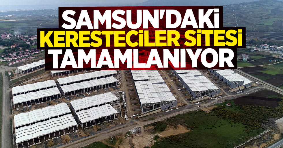 Samsun'daki keresteciler sitesi tamamlanıyor