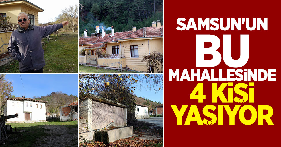 Samsun'un bu mahallesinde 4 kişi yaşıyor
