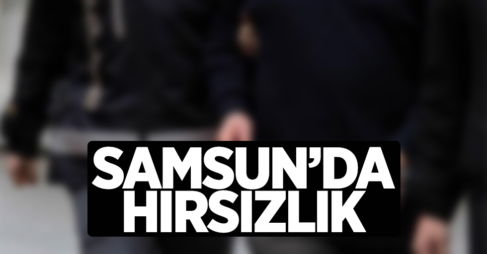 Samsun'da AVM'de hırsızlık: 2 gözaltı