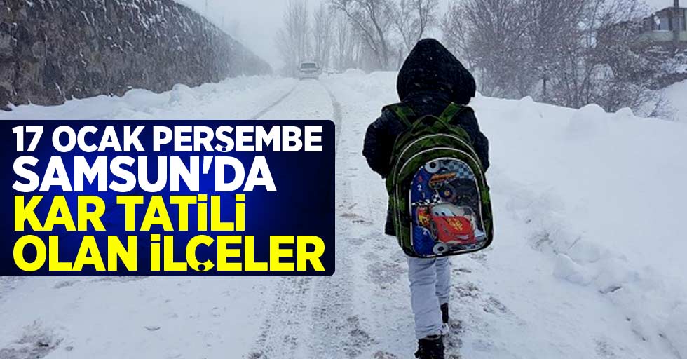 17 Ocak Perşembe Samsun'da kar tatili olan ilçeler