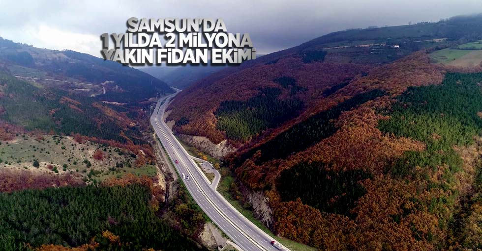 Samsun'da 1 yılda 2 milyona yakın fidan ekildi