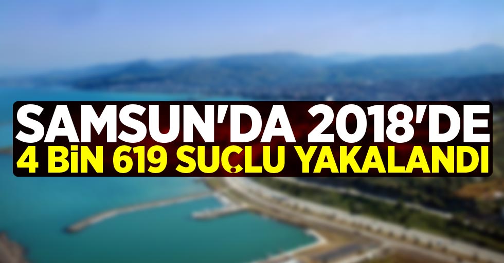 Samsun'da 2018'de 4 bin 619 suçlu yakalandı