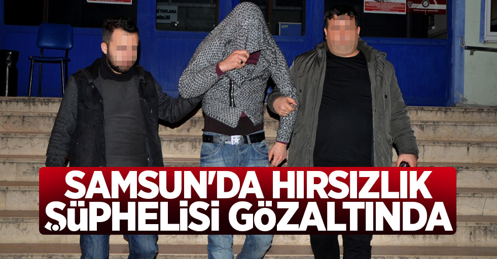 Samsun'da hırsızlık şüphelisi gözaltında