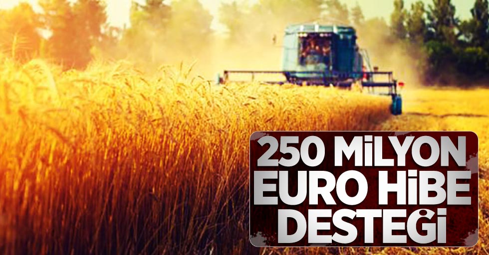 250 milyon euro hibe desteği